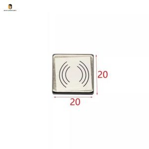 Elevator weighing magnet