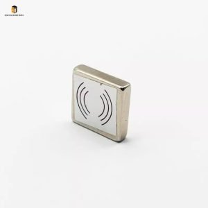 Elevator weighing magnet